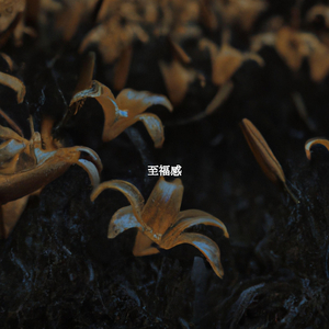 Calm Moods for Fresh Energy