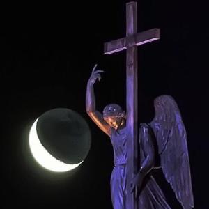 bulls (feat. ilyANGEL22)