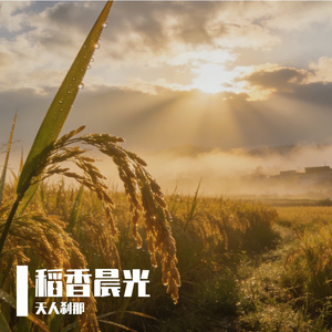 稻香晨光