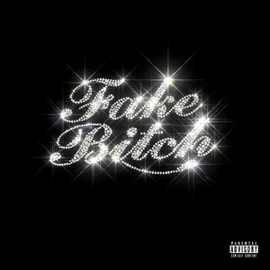 Fake Bitch