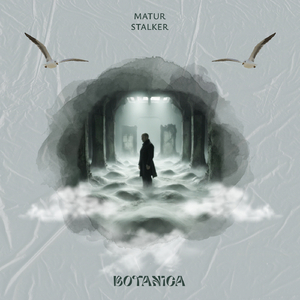 Stalker (Deep Radio Mix)