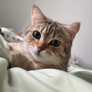 七月上