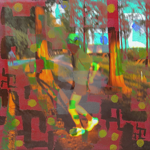 화이부실 (華而不實)