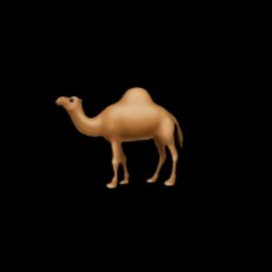 Çölde Susamamışım