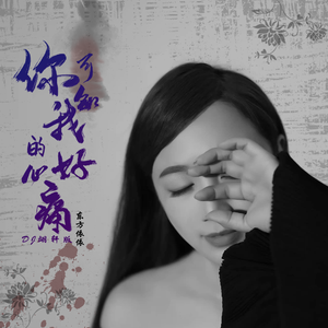 你可知我的心好痛(Dj翊轩慢摇版)