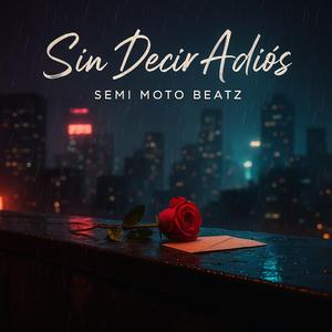 Sin Decir Adiós (Radio Edit)