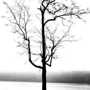 忘了看天气 伴奏