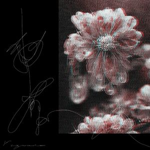 YOLO (Glitch Version)