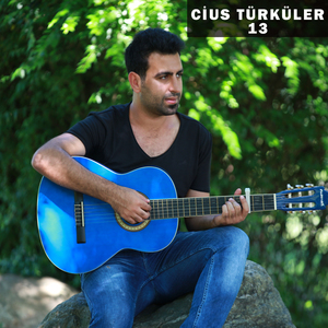 Şu Kışlanın Kapısına