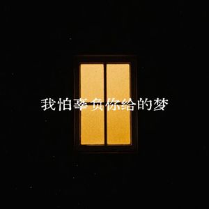 我怕辜负你给的梦