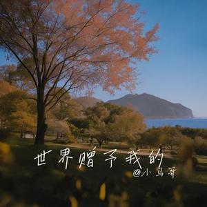 世界赠予我的 (Cover 王菲)