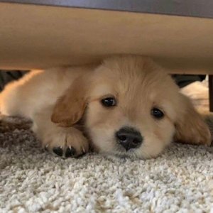 暗夜 光明的预演