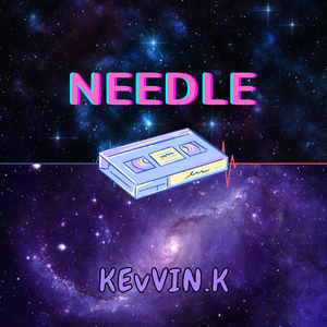 Needle