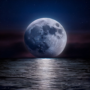 Las Sombras Susurrantes Se Mecen Con Ritmos Suaves