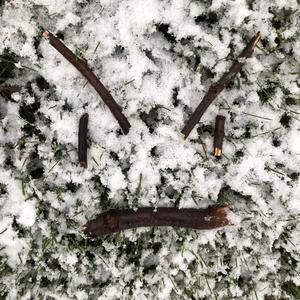 42 pretty cool or whatever