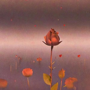 不平行的反函数