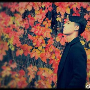 ArmanimYok（别无所求）