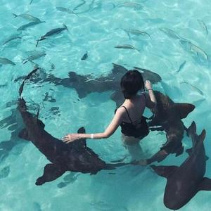 Max Oazo-once upon a time（Remix）（Right remix）