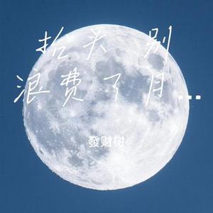 抬头 别浪费了月亮