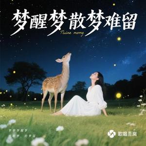 梦醒梦散梦难留