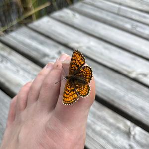 Mysteeri (feat. Anni Helinä Wacklin)