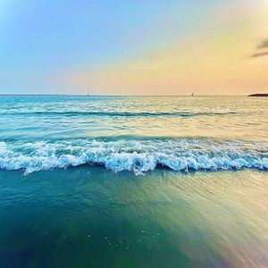 踏浪（赛马娘）