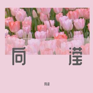 13楼的笨大象