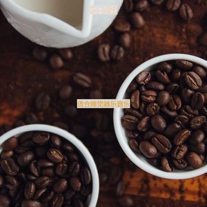 适合在读书时尚的音乐