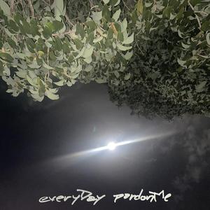 everyDay (pardonMe)