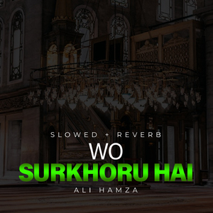 Wo Surkhoru Hai Lofi