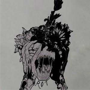 Rot