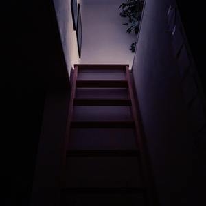 新生（Pro By 9Zi）