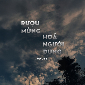 Rượu Mừng Hóa Người Dưng (Cover)