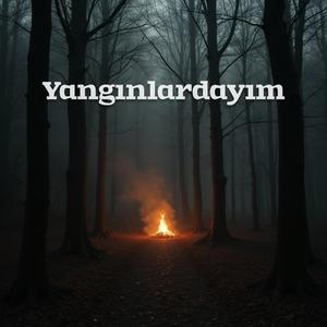 Yalnızlardayım