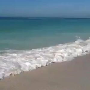 Relaxing & Soothing Jazz Music