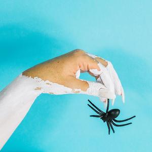 A spider on the wall