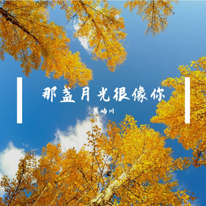 那盏月光很像你