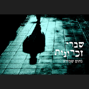 שברי זכרונות