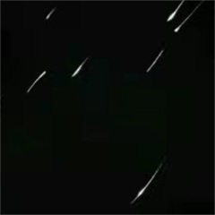 到底要不要生二胎