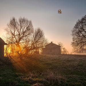 叶落归根 (静心曲)