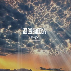 温暖的阳光