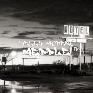 Meddle