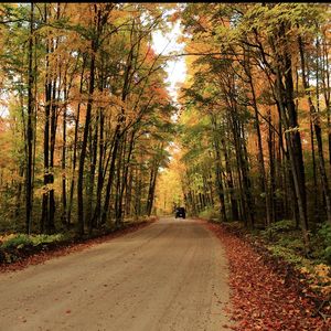 罗生门（官方版）