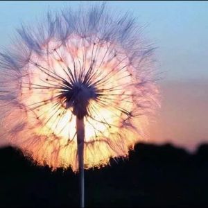 夏天的微风吹来 伴奏