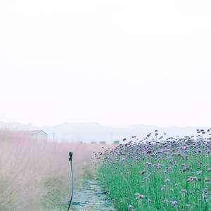 你好，旧时光 (铃铛曲)