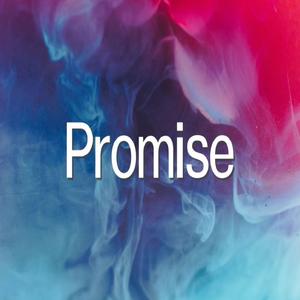 Promise