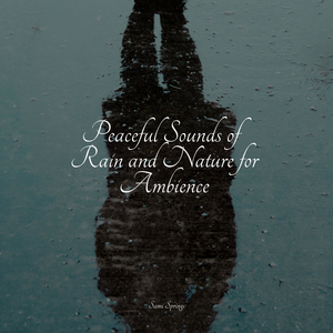 White Noise Rain in the River