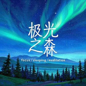 极光之森 Aurora Forest