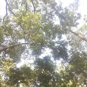 被情伤过的女人