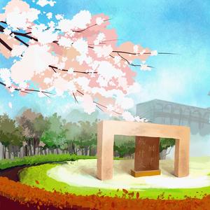 阳光下的樱花雨